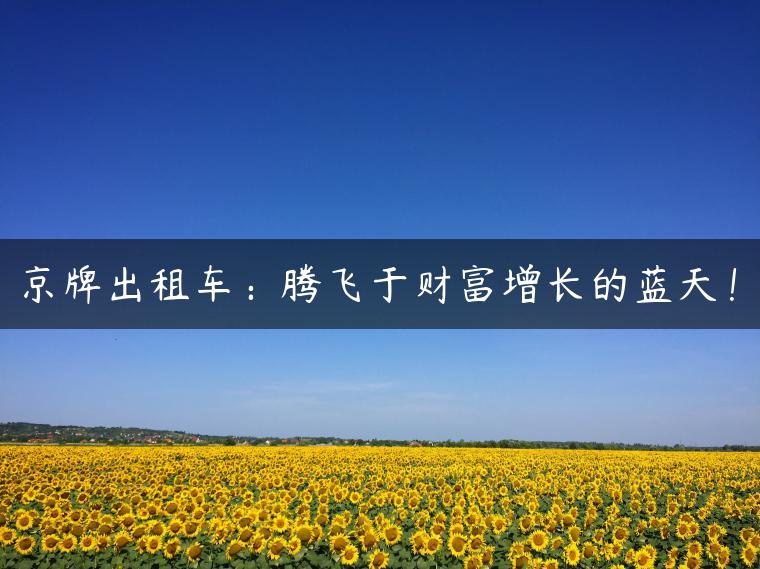 京牌出租车：腾飞于财富增长的蓝天！
