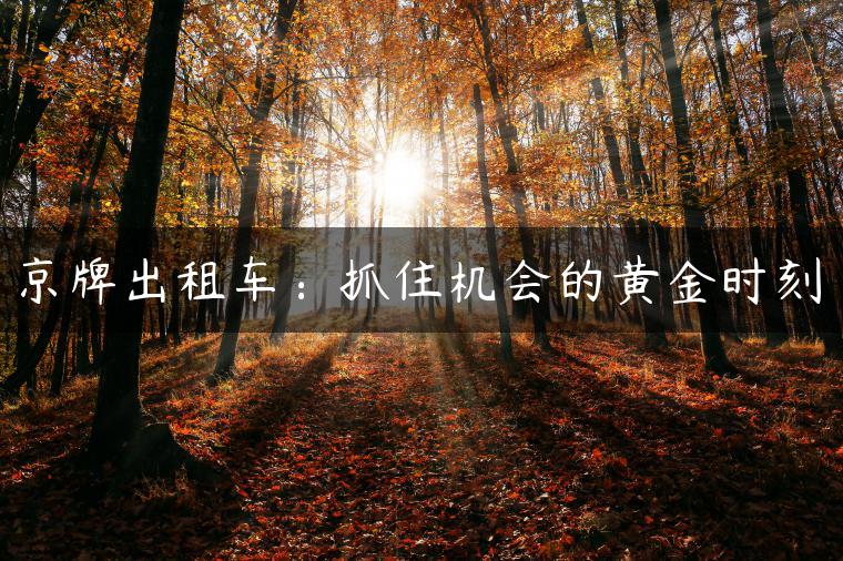 京牌出租车：抓住机会的黄金时刻