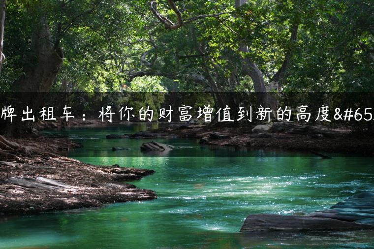 京牌出租车：将你的财富增值到新的高度！
