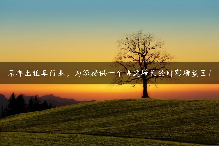 京牌出租车行业，为您提供一个快速增长的财富增量区！