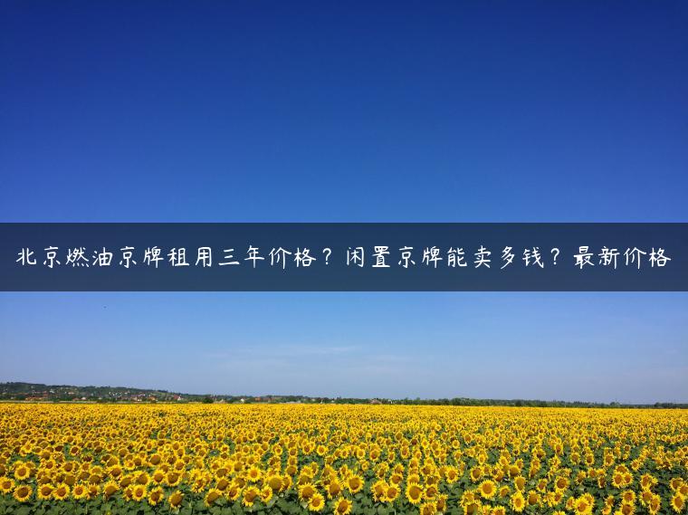 北京燃油京牌租用三年价格？闲置京牌能卖多钱？最新价格