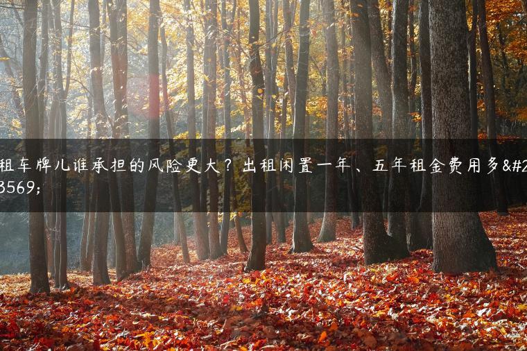 租车牌儿谁承担的风险更大？出租闲置一年、五年租金费用多少