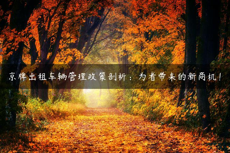 京牌出租车辆管理政策剖析：为者带来的新商机！