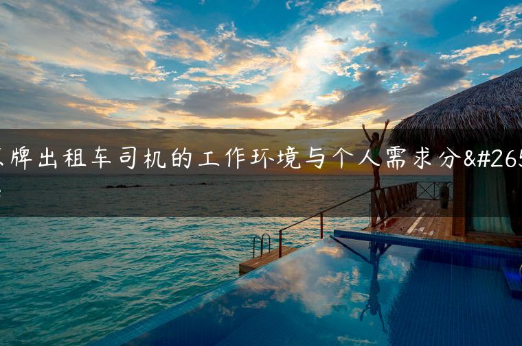 京牌出租车司机的工作环境与个人需求分析