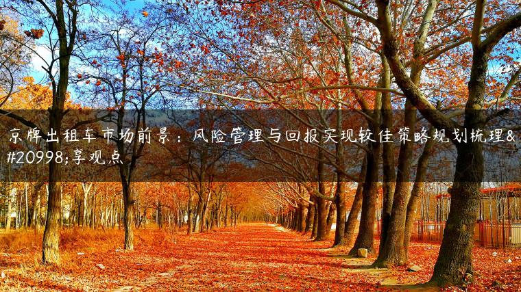 京牌出租车市场前景：风险管理与回报实现较佳策略规划梳理分享观点