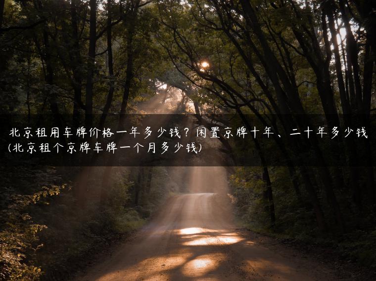 北京租用车牌价格一年多少钱？闲置京牌十年、二十年多少钱(北京租个京牌车牌一个月多少钱)