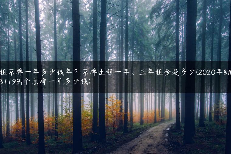 租京牌一年多少钱年？京牌出租一年、三年租金是多少(2020年租个京牌一年多少钱)
