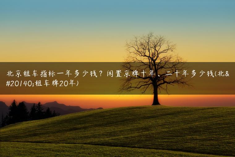 北京租车指标一年多少钱？闲置京牌十年、二十年多少钱(北京租车牌20年)