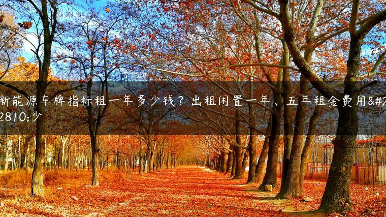 新能源车牌指标租一年多少钱？出租闲置一年、五年租金费用多少