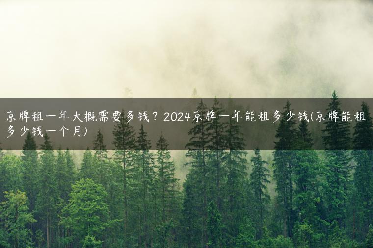 京牌租一年大概需要多钱？2024京牌一年能租多少钱(京牌能租多少钱一个月)