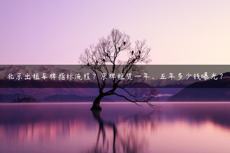 北京出租车牌指标流程？京牌租赁一年、五年多少钱曝光？-金牌车友