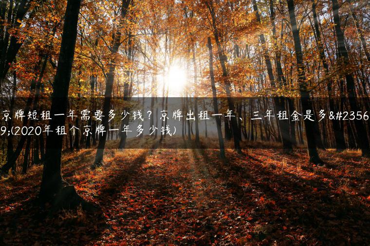 京牌短租一年需要多少钱？京牌出租一年、三年租金是多少(2020年租个京牌一年多少钱)