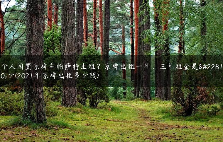 个人闲置京牌车帕萨特出租？京牌出租一年、三年租金是多少(2021年京牌出租多少钱)