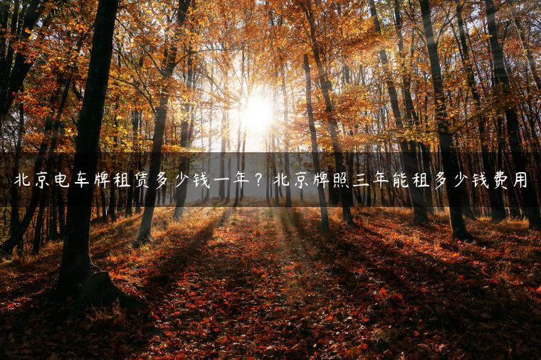 北京电车牌租赁多少钱一年？北京牌照三年能租多少钱费用
