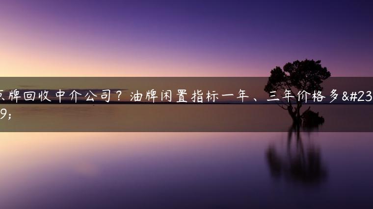 京牌回收中介公司？油牌闲置指标一年、三年价格多少-金牌车友