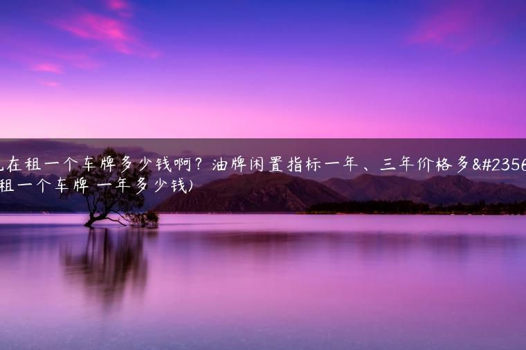 现在租一个车牌多少钱啊？油牌闲置指标一年、三年价格多少(租一个车牌 一年多少钱)