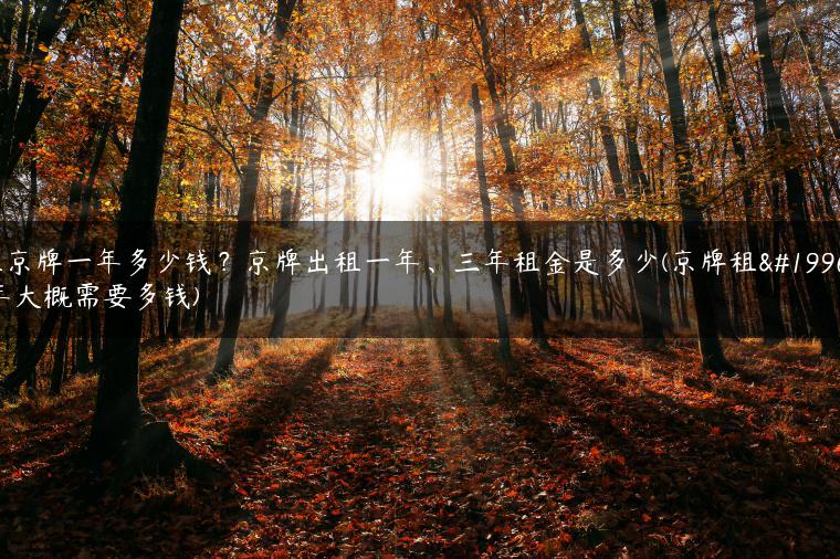租京牌一年多少钱？京牌出租一年、三年租金是多少(京牌租一年大概需要多钱)
