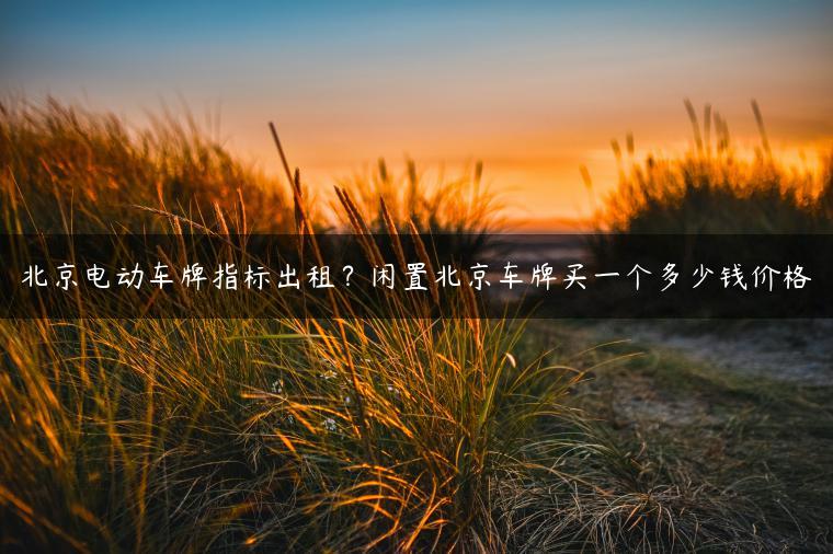 北京电动车牌指标出租？闲置北京车牌买一个多少钱价格