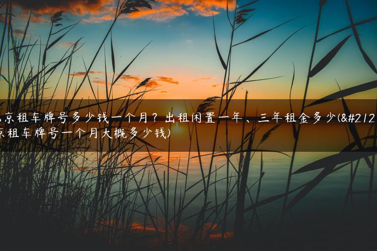 北京租车牌号多少钱一个月？出租闲置一年、三年租金多少(北京租车牌号一个月大概多少钱)