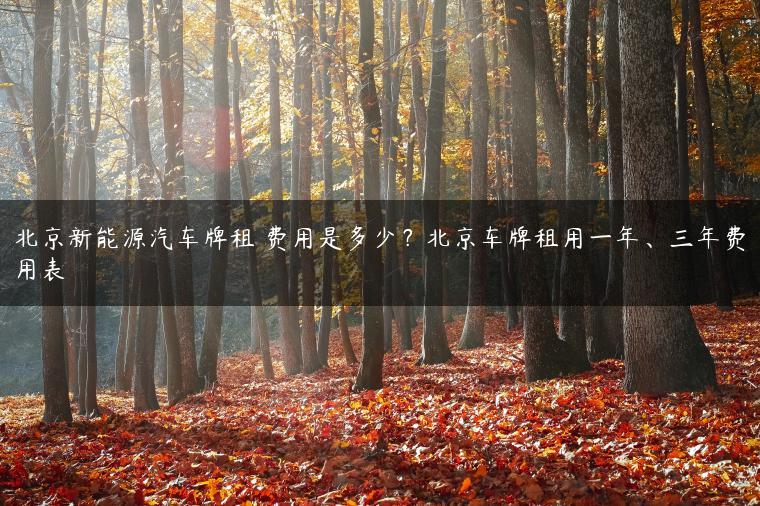 北京新能源汽车牌租 费用是多少？北京车牌租用一年、三年费用表