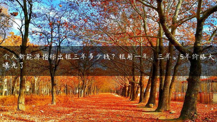 个人新能源指标出租三年多少钱？租用一年、三年。5年价格大曝光了