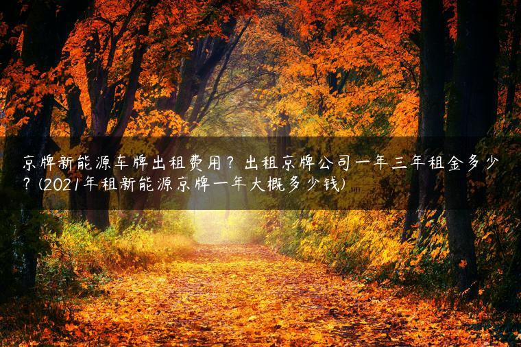 京牌新能源车牌出租费用？出租京牌公司一年三年租金多少？(2021年租新能源京牌一年大概多少钱)