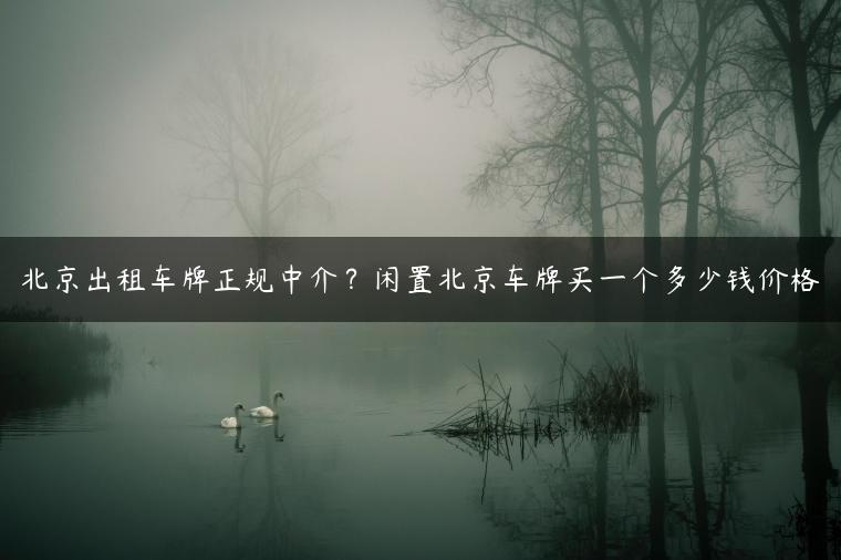 北京出租车牌正规中介？闲置北京车牌买一个多少钱价格