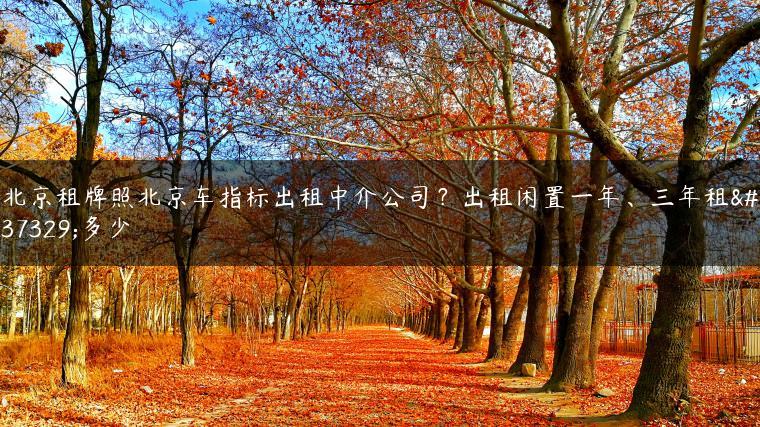 北京租牌照北京车指标出租中介公司？出租闲置一年、三年租金多少