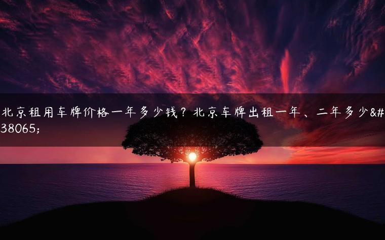 北京租用车牌价格一年多少钱？北京车牌出租一年、二年多少钱-金牌车友