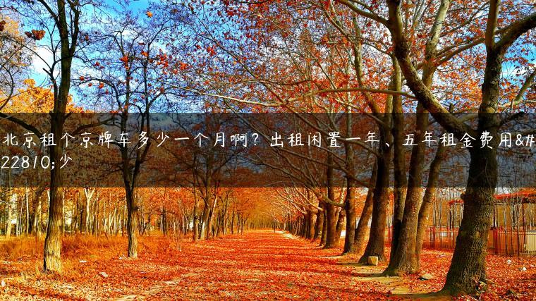 北京租个京牌车多少一个月啊？出租闲置一年、五年租金费用多少