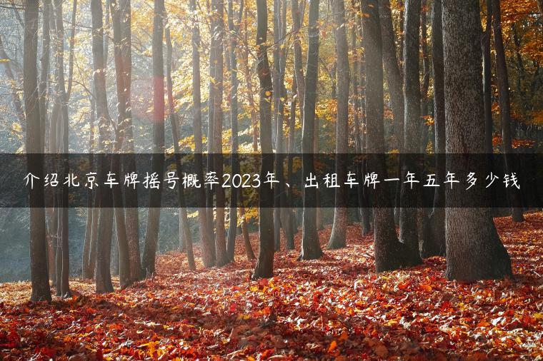 介绍北京车牌摇号概率2023年、出租车牌一年五年多少钱