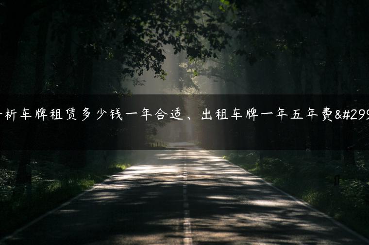 分析车牌租赁多少钱一年合适、出租车牌一年五年费用
