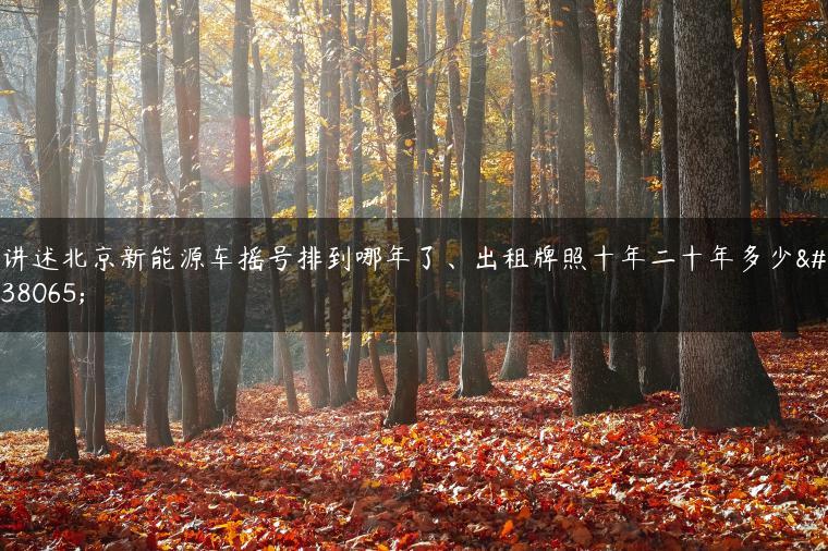 讲述北京新能源车摇号排到哪年了、出租牌照十年二十年多少钱