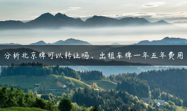 分析北京牌可以转让吗、出租车牌一年五年费用