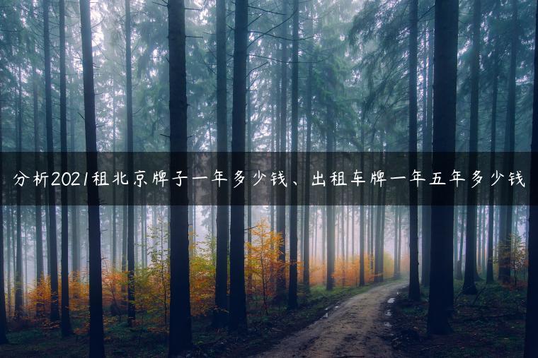 分析2021租北京牌子一年多少钱、出租车牌一年五年多少钱