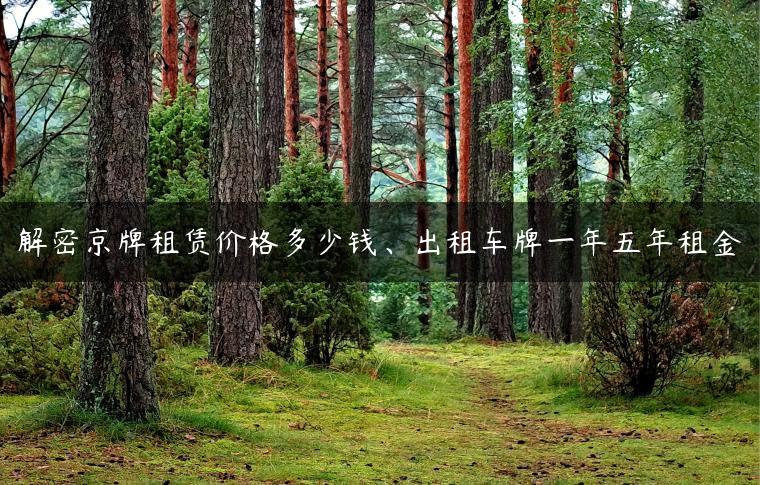 解密京牌租赁价格多少钱、出租车牌一年五年租金