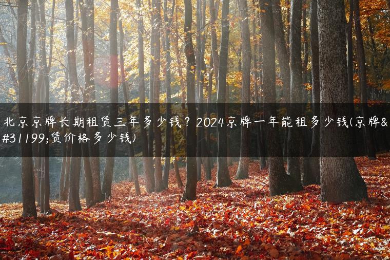 北京京牌长期租赁三年多少钱？2024京牌一年能租多少钱(京牌租赁价格多少钱)