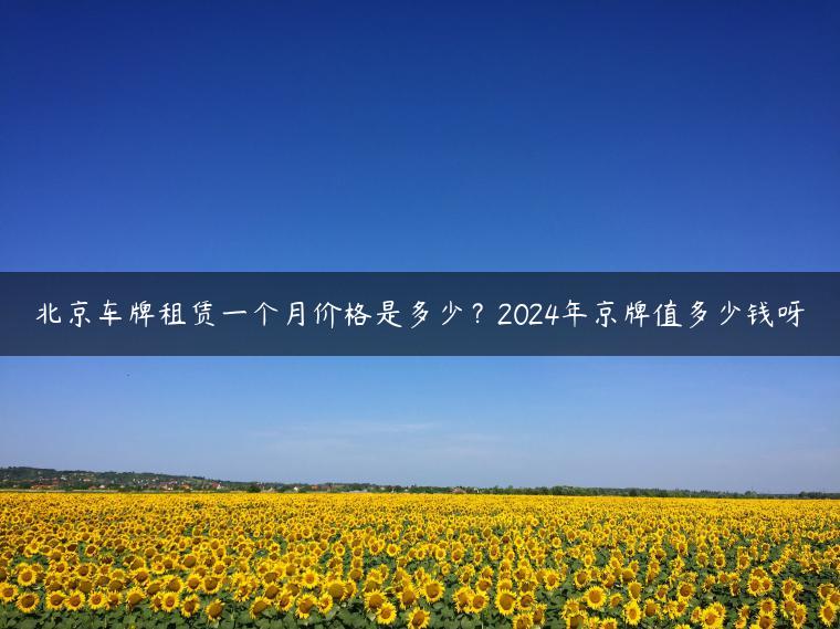 北京车牌租赁一个月价格是多少？2024年京牌值多少钱呀