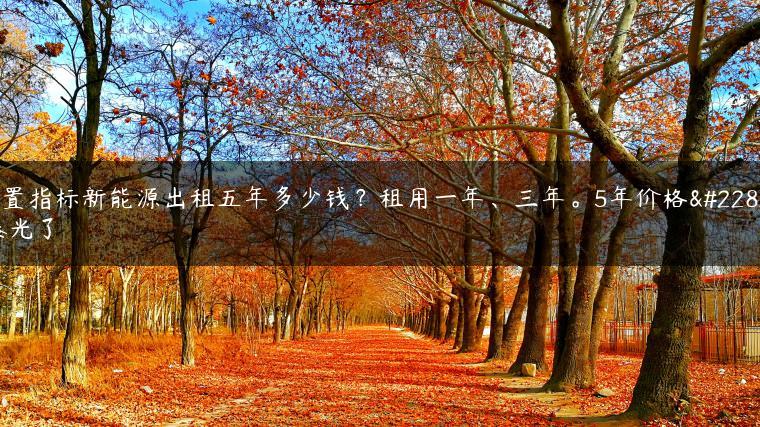 闲置指标新能源出租五年多少钱？租用一年、三年。5年价格大曝光了