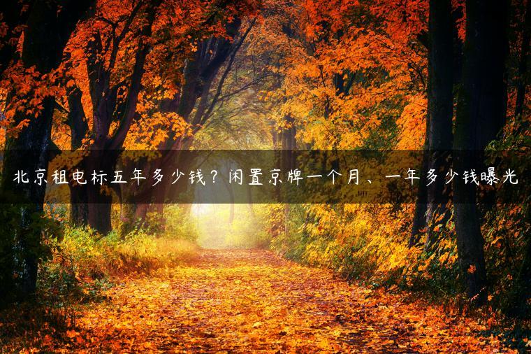 北京租电标五年多少钱？闲置京牌一个月、一年多少钱曝光-金牌车友
