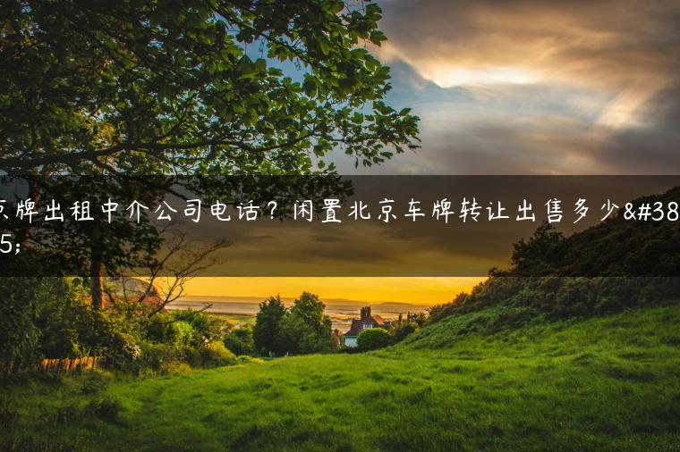京牌出租中介公司电话？闲置北京车牌转让出售多少钱