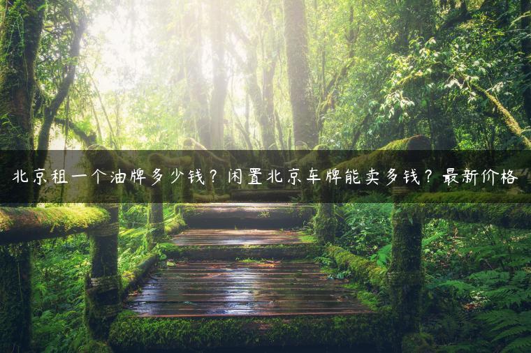 北京租一个油牌多少钱？闲置北京车牌能卖多钱？最新价格