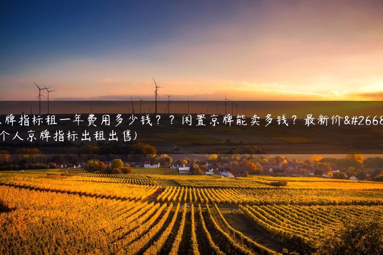 京牌指标租一年费用多少钱？？闲置京牌能卖多钱？最新价格(个人京牌指标出租出售)