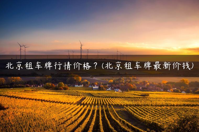 北京租车牌行情价格？(北京租车牌最新价钱)