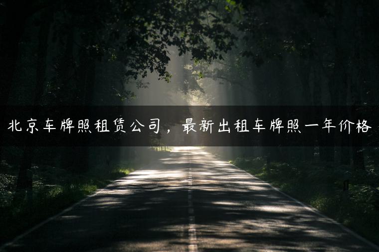 北京车牌照租赁公司，最新出租车牌照一年价格