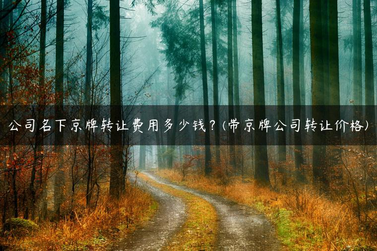 公司名下京牌转让费用多少钱？(带京牌公司转让价格)