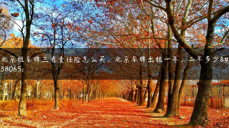 北京租车牌三者责任险怎么买、北京车牌出租一年、二年多少钱