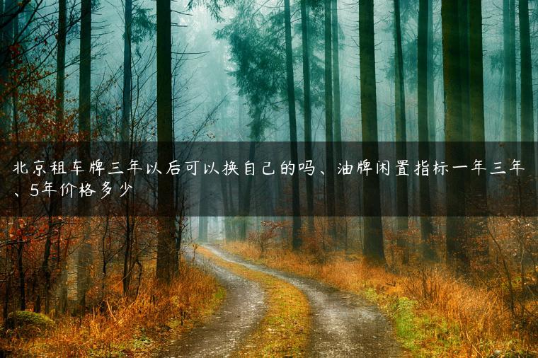 北京租车牌三年以后可以换自己的吗、油牌闲置指标一年三年、5年价格多少