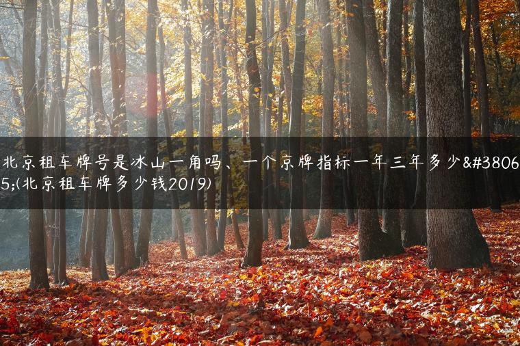 北京租车牌号是冰山一角吗、一个京牌指标一年三年多少钱(北京租车牌多少钱2019)