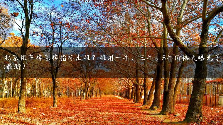 北京租车牌京牌指标出租？租用一年、三年。5年价格大曝光了(最新）